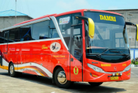 Alamat Agen, Jadwal Keberangkatan dan Harga Tiket Bus DAMRI