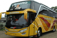 Jadwal Keberangkatan Bus New Shantika Beserta Harga Tiketnya