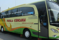 Jadwal Keberangkatan, Harga Tiket dan Nomor Telepon Agen Bus Pahala Kencana