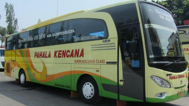 Jadwal Keberangkatan, Harga Tiket dan Nomor Telepon Agen Bus Pahala Kencana