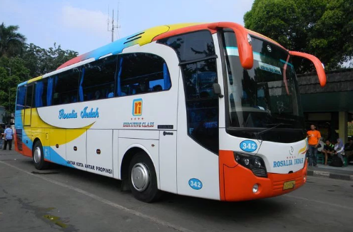 Inilah Daftar Alamat dan Nomor Telpon Agen Bus Rosalia Indah di Lampung dan Sumatera Selatan