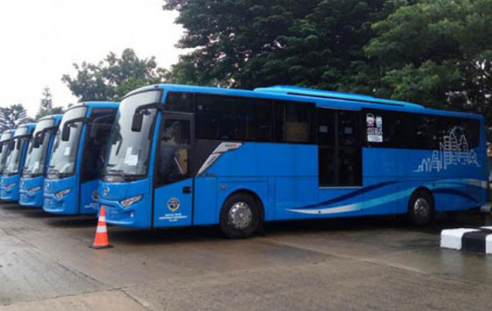 Jadwal Keberangkatan dan Harga Tiket Serta Rute Perjalanan Bus Trans Lampung Dari Bandara Radin Inten II ke Krui Lampung Barat