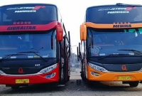 Bus SHD dan HDD!! Inilah Perbedaan Interior, Eksterior dan Mesinnya