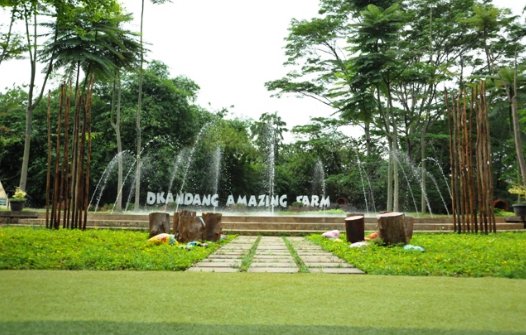 Info Tiket Masuk dan Alamat Wisata D’Kandang Amazing Farm Depok