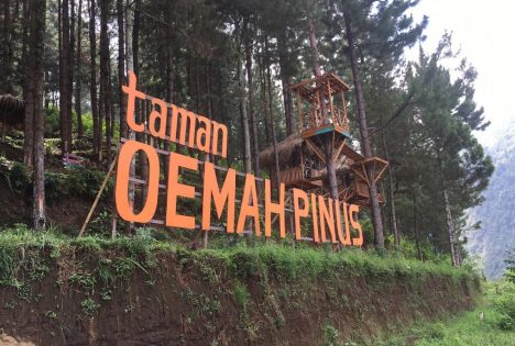 Info Tiket Masuk dan Alamat Wisata Taman Oemah Pinus Tegal