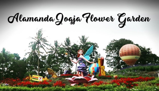 Info Tiket Masuk dan Alamat Wisata Alamanda Jogja Flower Garden Turi Sleman